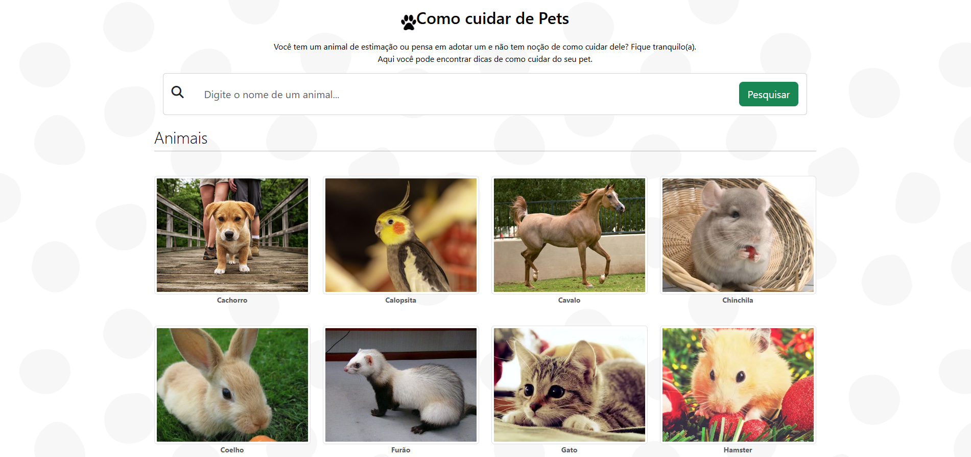 Página do guia de cuidados com pets com dicas e links informativos